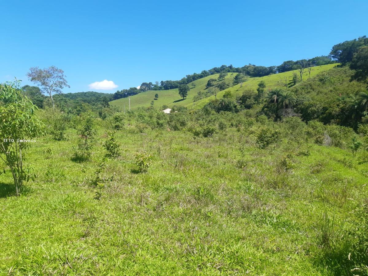 Fazenda à venda com 2 quartos, 4m² - Foto 36