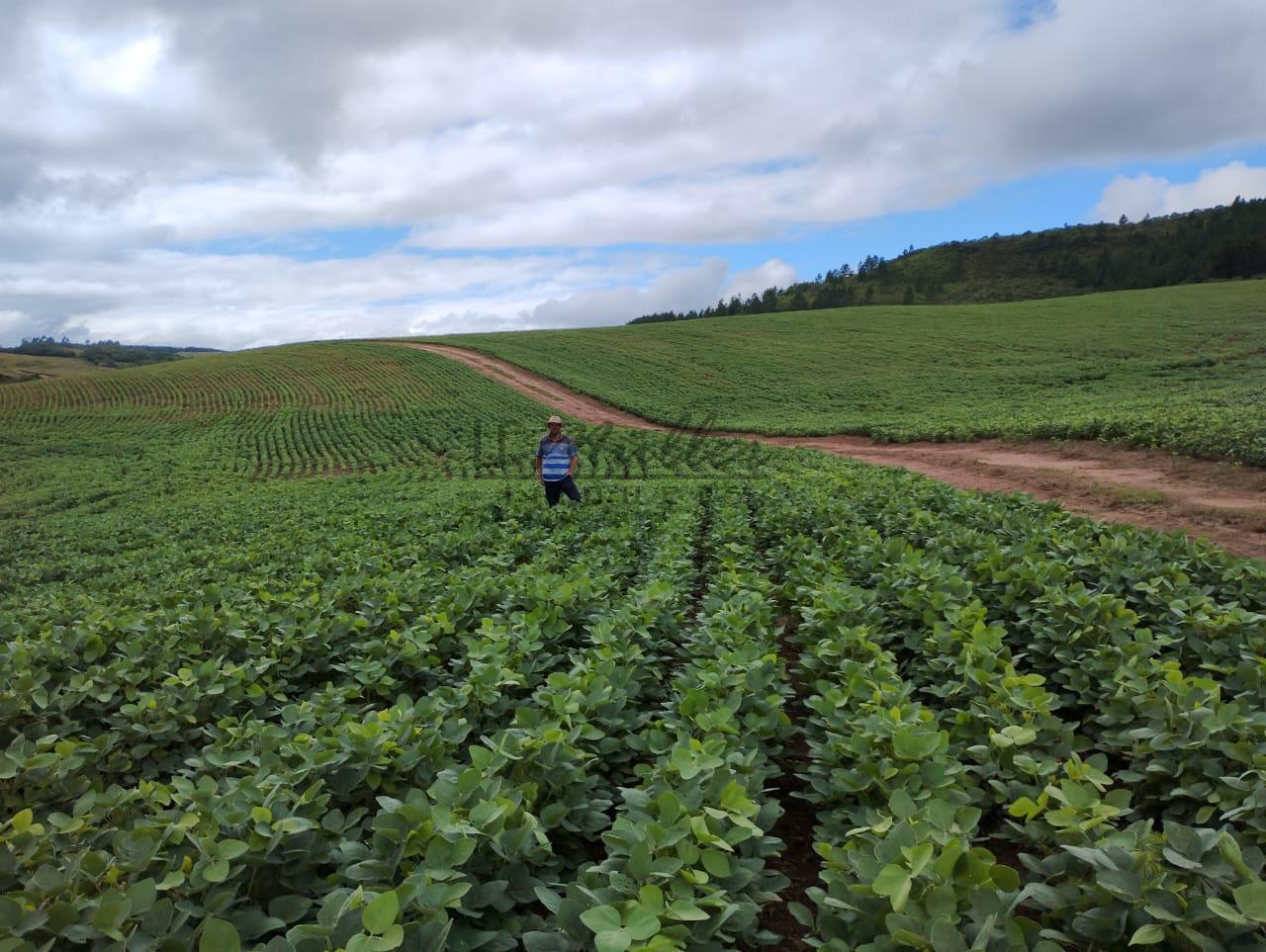 Fazenda à venda, 677m² - Foto 5