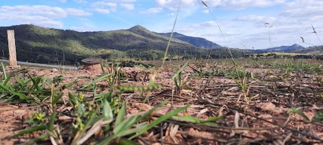 Loteamento e Condomínio à venda, 360M2 - Foto 6