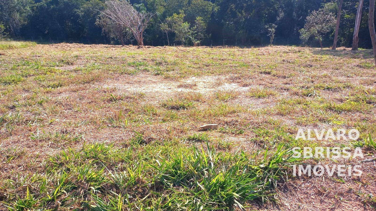 Loteamento e Condomínio à venda, 2132M2 - Foto 5