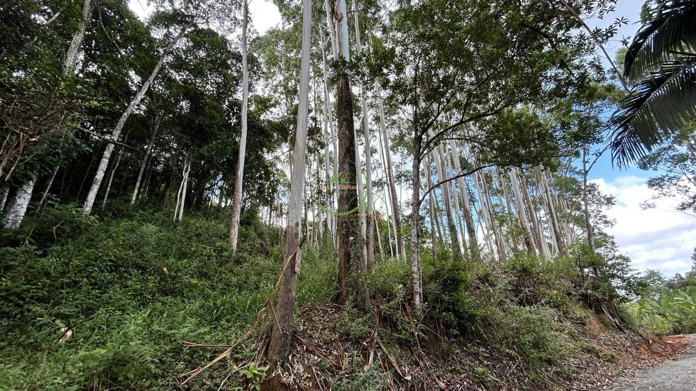 Sítio, 218 m² - Foto 8