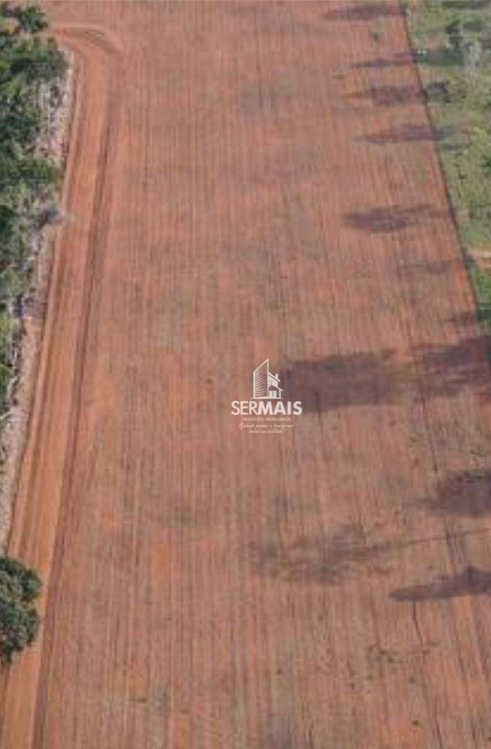 Fazenda-Sítio-Chácara, 581 hectares - Foto 4