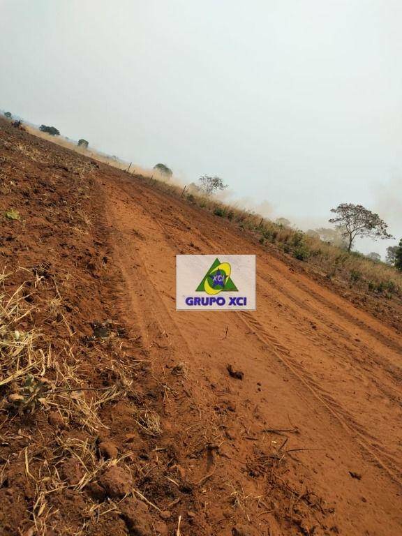 Fazenda à venda, 7850000M2 - Foto 7