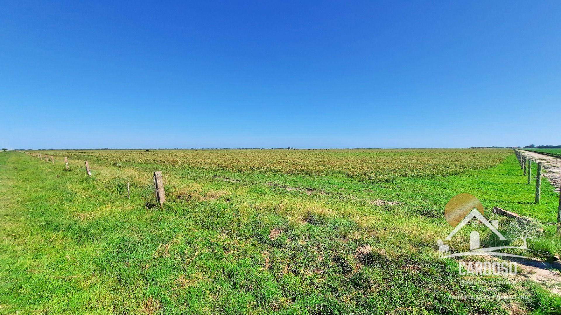 Fazenda à venda, 1830000M2 - Foto 9