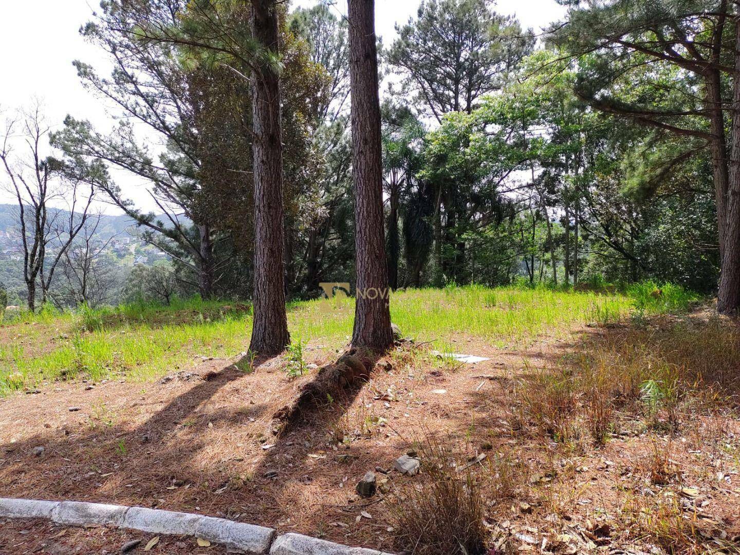 Terreno à venda, 988M2 - Foto 2