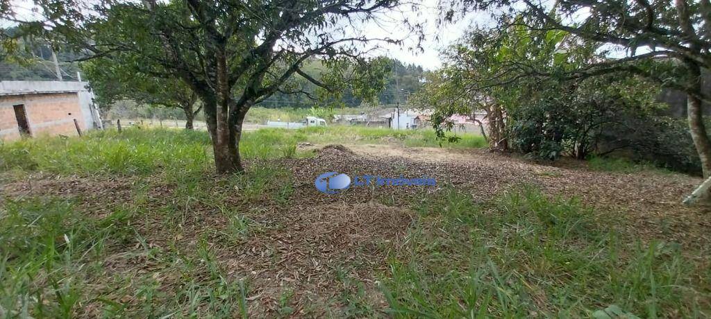 Terreno, 1000 m² - Foto 3