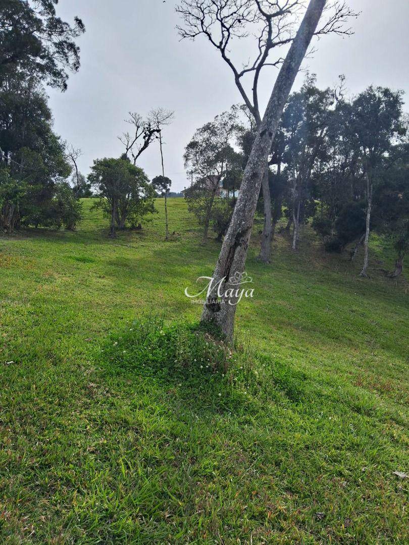Terreno à venda, 1207M2 - Foto 4