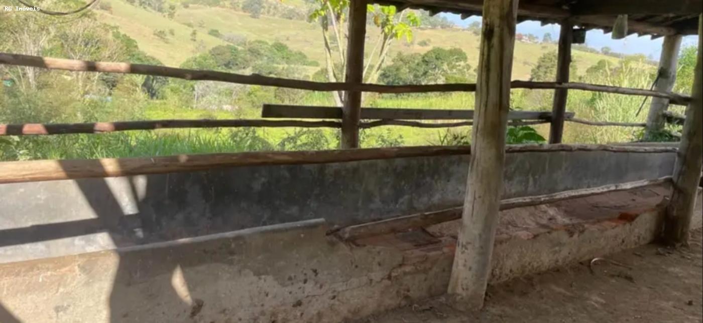 Sítio à venda com 3 quartos, 150m² - Foto 15