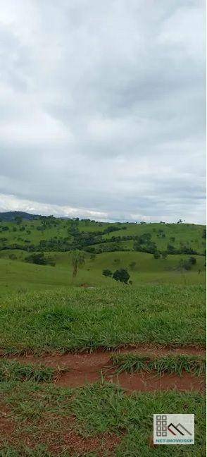 Fazenda à venda com 5 quartos, 500m² - Foto 12