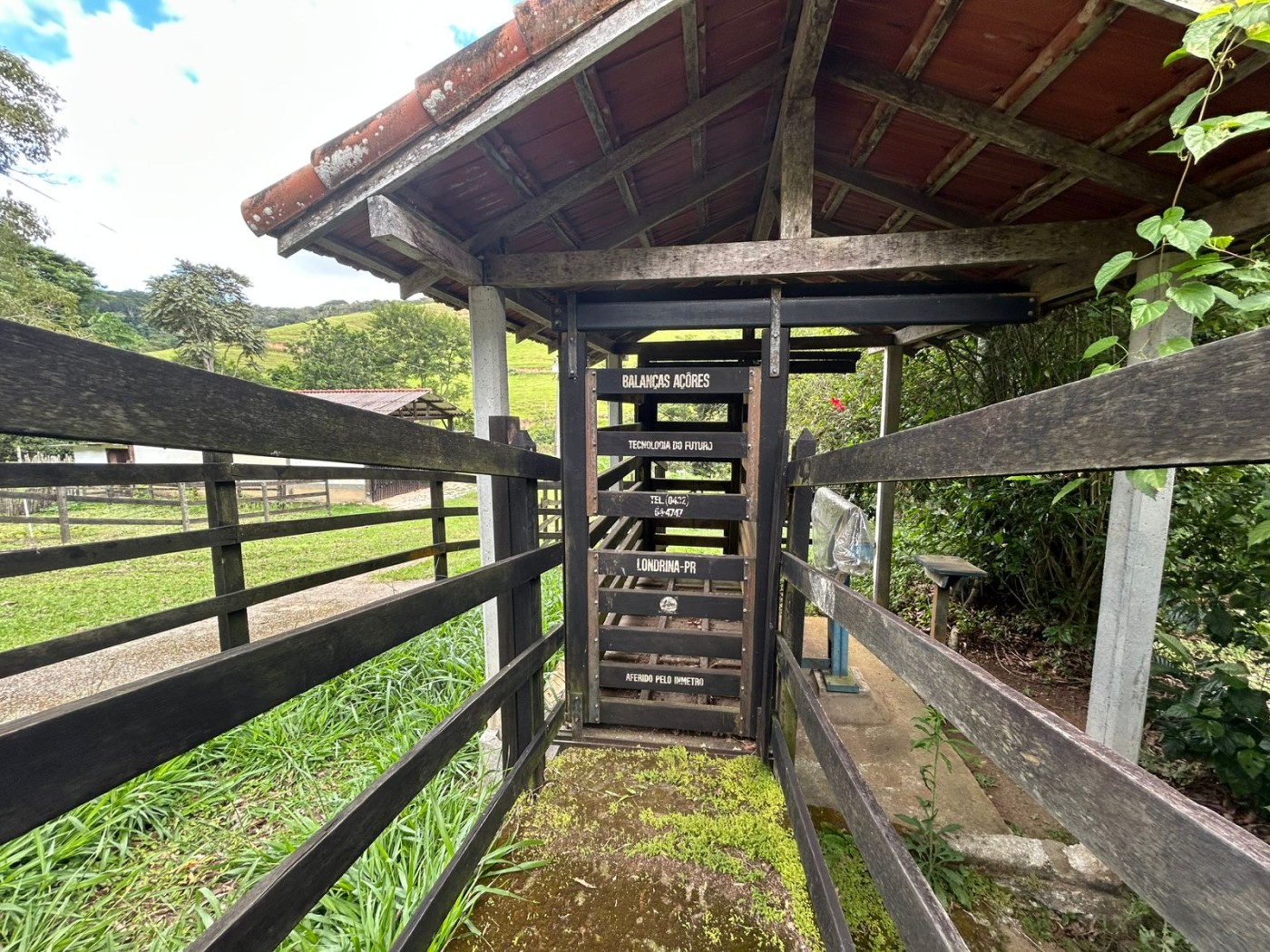 Fazenda à venda com 6 quartos, 183m² - Foto 10