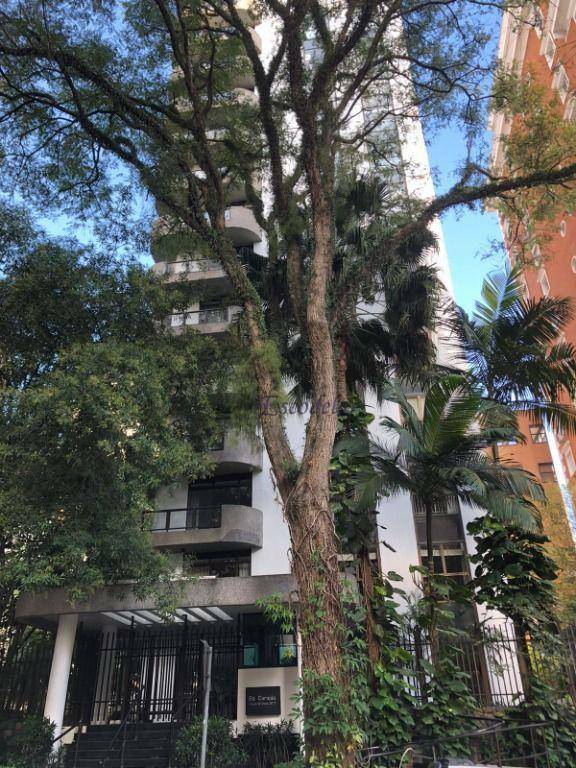 Apartamento à venda com 3 quartos, 245m² - Foto 7