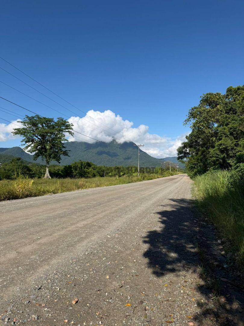 Terreno, 2 hectares - Foto 4