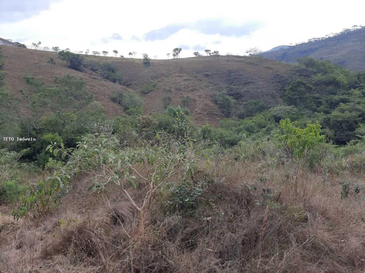 Fazenda à venda com 3 quartos, 4m² - Foto 41