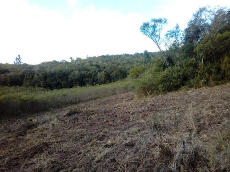 Fazenda à venda com 1 quarto, 30000m² - Foto 14