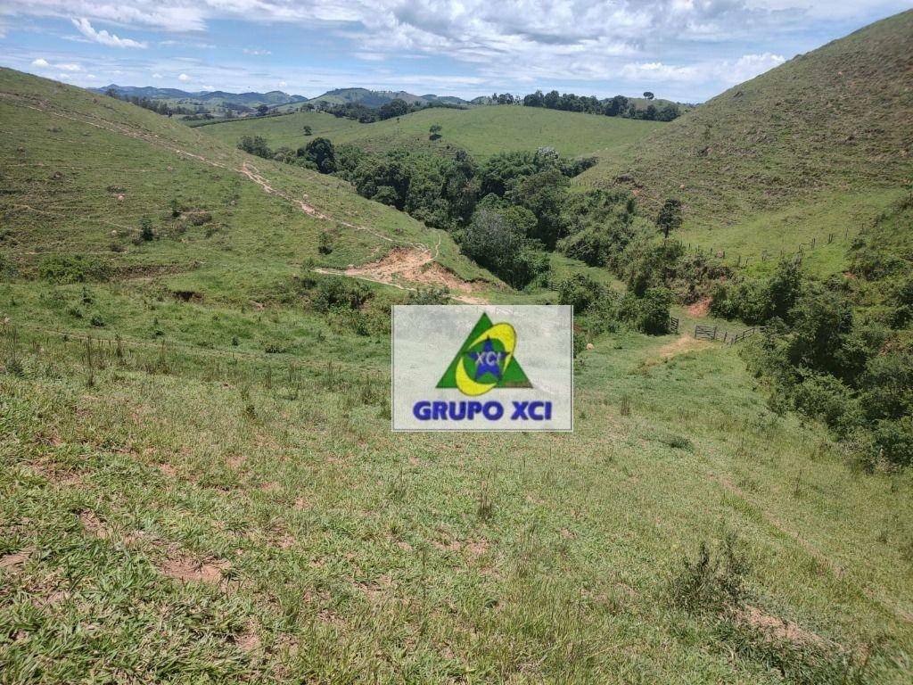 Fazenda à venda, 1060000M2 - Foto 17