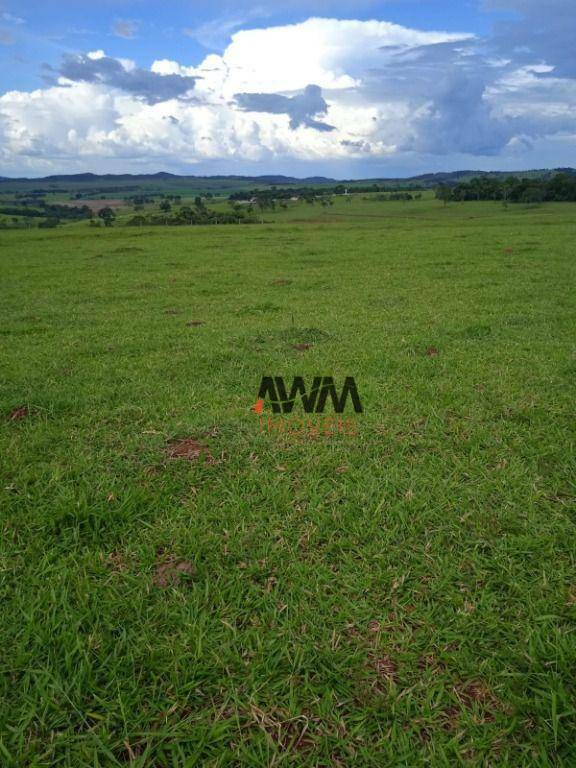 Fazenda à venda, 1597200M2 - Foto 8