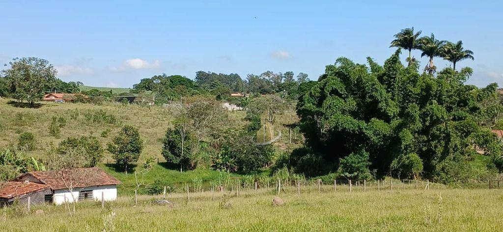 Terreno, 3 hectares - Foto 3