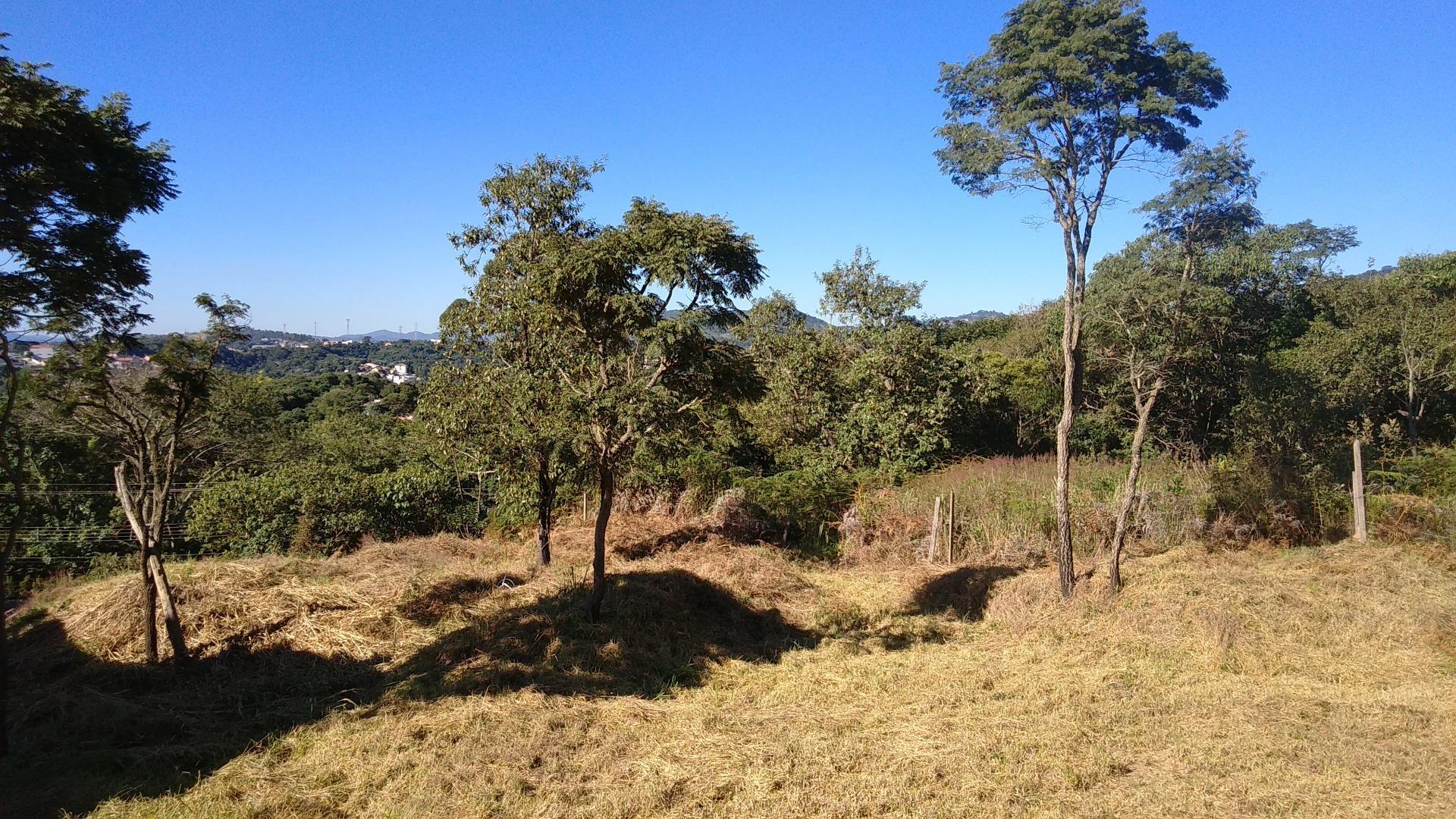 Terreno à venda, 27240M2 - Foto 2