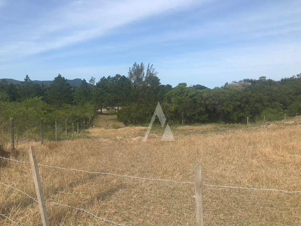 Terreno, 4330 m² - Foto 3