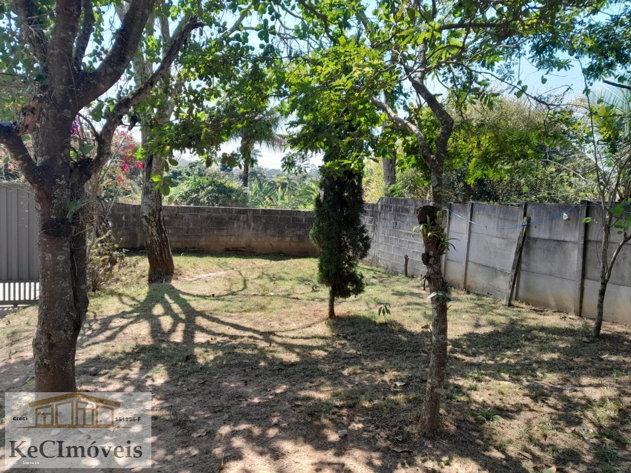 Fazenda à venda com 2 quartos, 1000m² - Foto 6