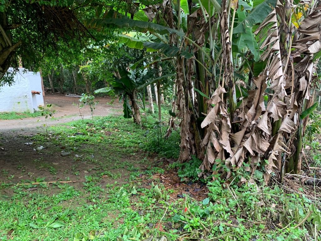 Loteamento e Condomínio à venda, 1905m² - Foto 34