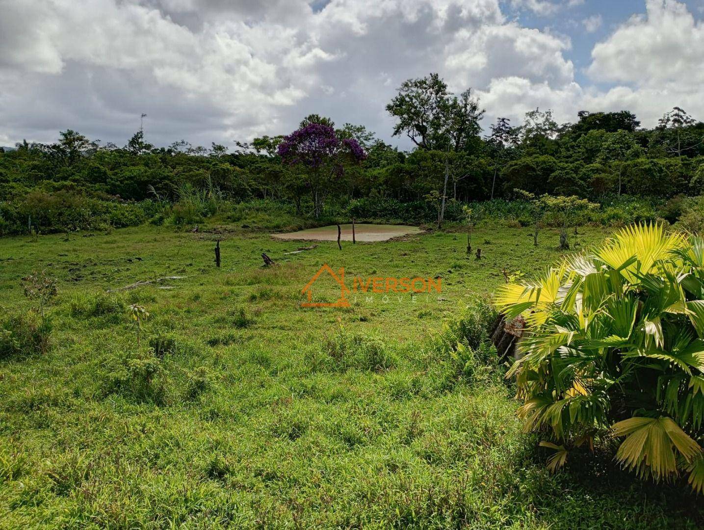 Chácara à venda com 2 quartos, 200m² - Foto 35