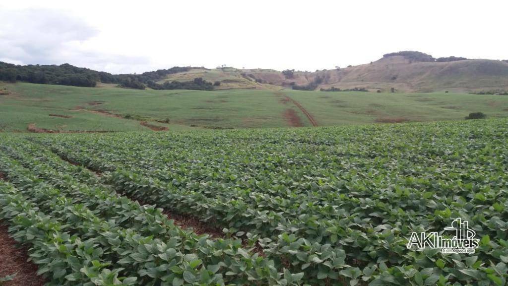 Fazenda à venda com 1 quarto, 2819300M2 - Foto 19