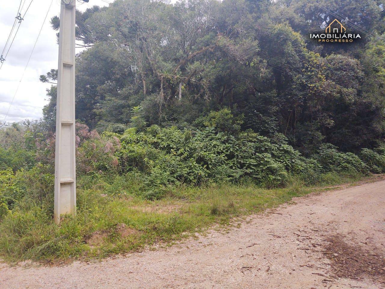 Terreno à venda, 10000M2 - Foto 3