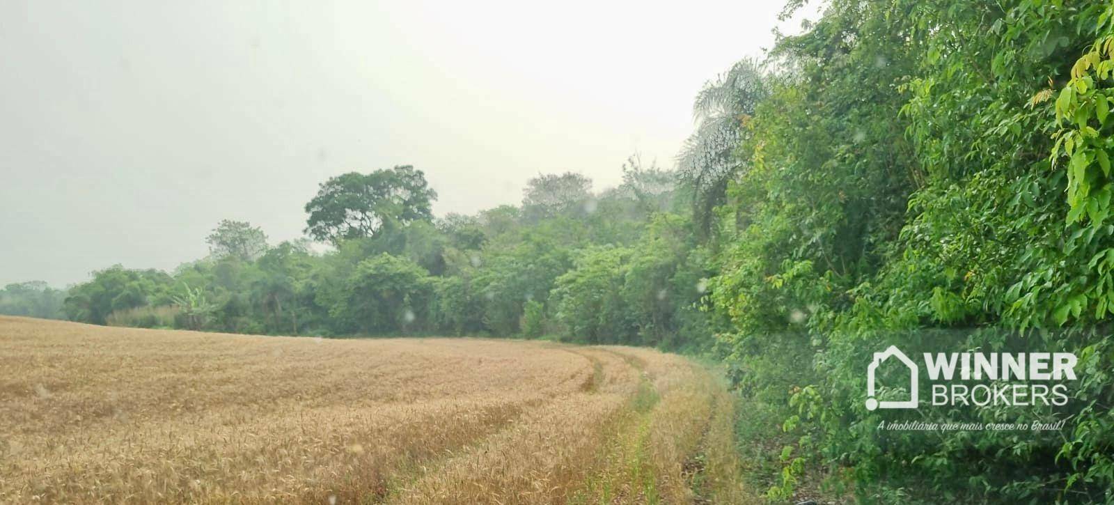 Terreno, 4500 m² - Foto 6