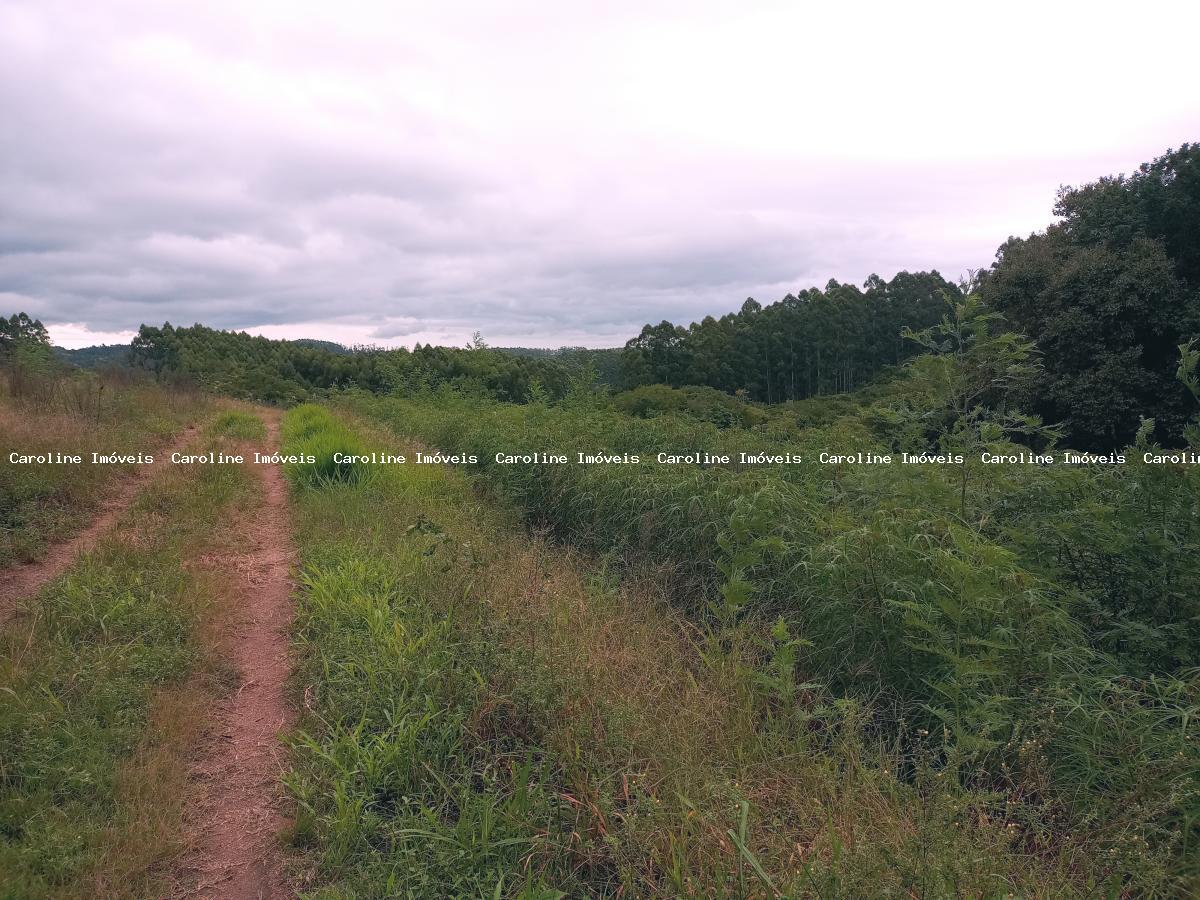 Fazenda-Sítio-Chácara, 5 hectares - Foto 3