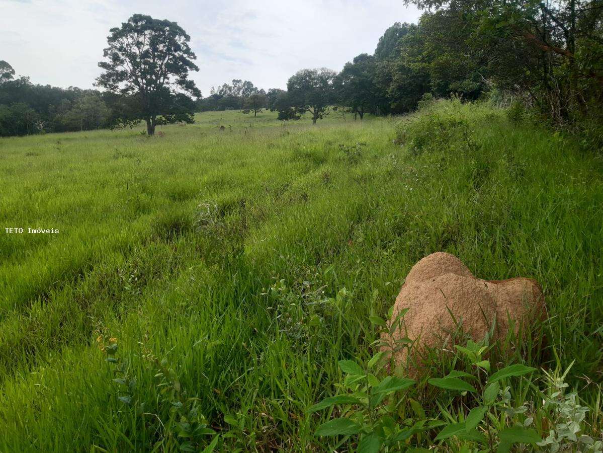 Fazenda à venda com 4 quartos, 36m² - Foto 10