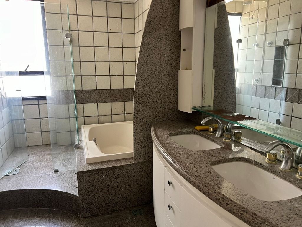 Apartamento à venda com 3 quartos, 233m² - Foto 9