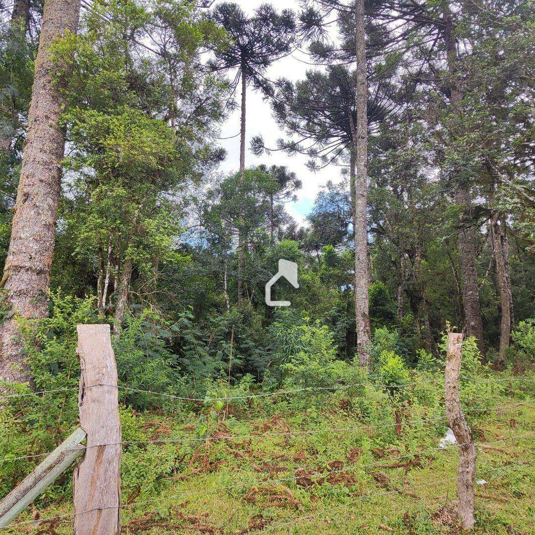 Terreno à venda, 36000M2 - Foto 2