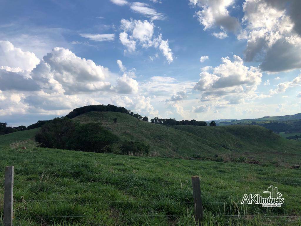 Fazenda à venda com 1 quarto, 2819300M2 - Foto 25