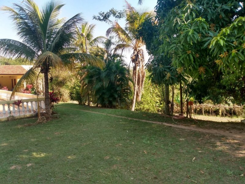 Chácara à venda com 1 quarto, 3836m² - Foto 3