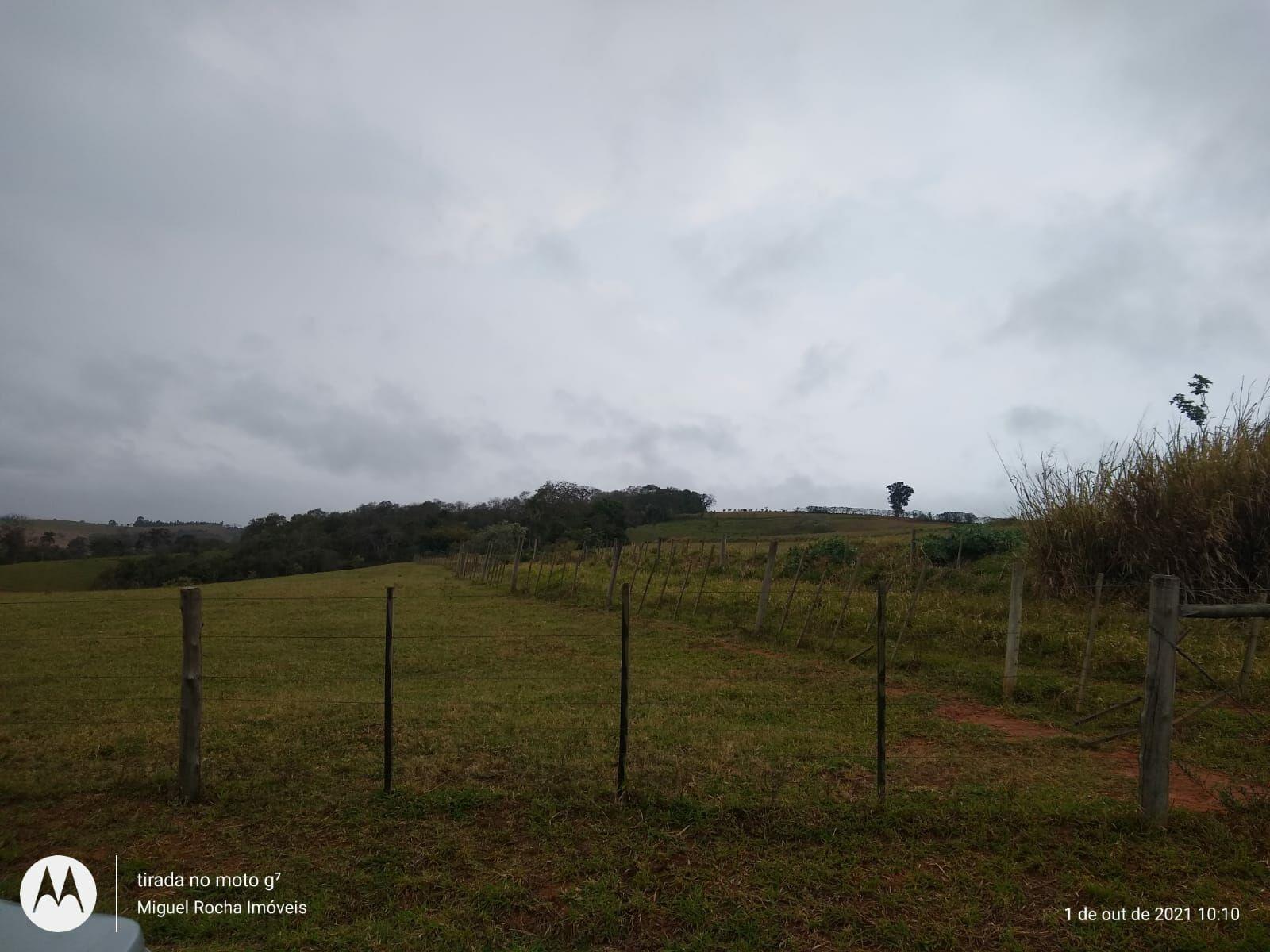 Fazenda à venda com 8 quartos, 3146000m² - Foto 24