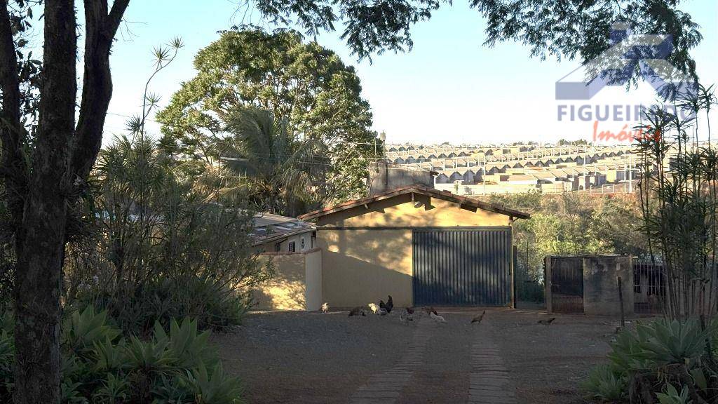 Sítio, 4 hectares - Foto 13