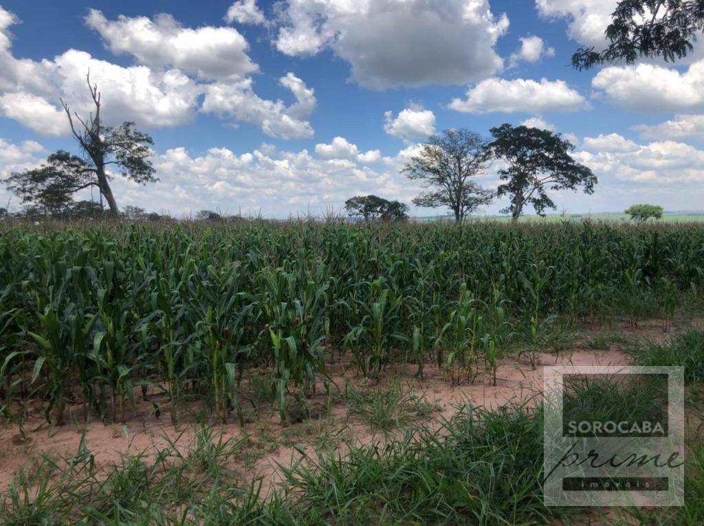 Fazenda à venda, 578622M2 - Foto 2