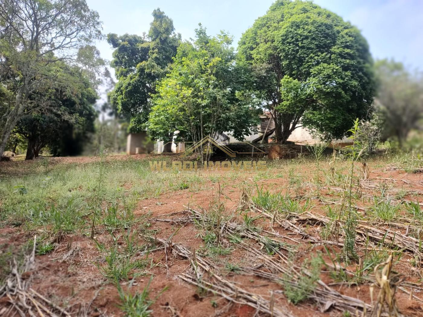 Fazenda à venda com 2 quartos, 24000m² - Foto 3