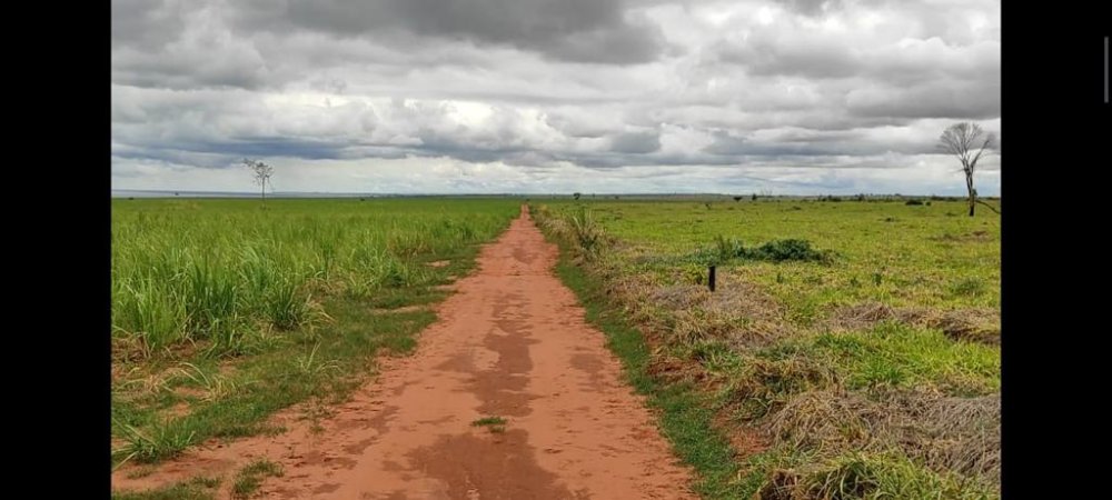 Fazenda-Sítio-Chácara, 1275 hectares - Foto 4