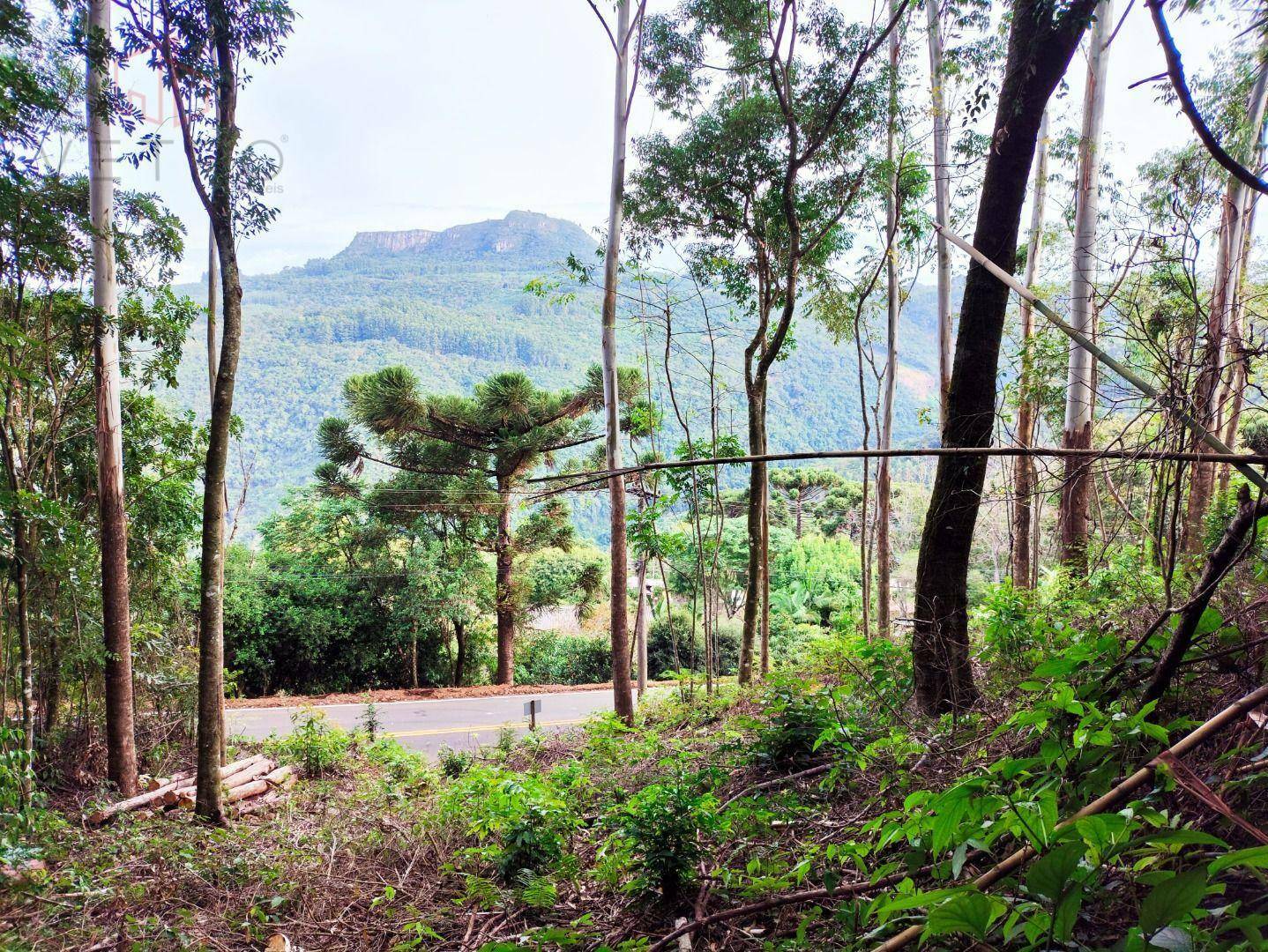 Terreno à venda, 1300M2 - Foto 9