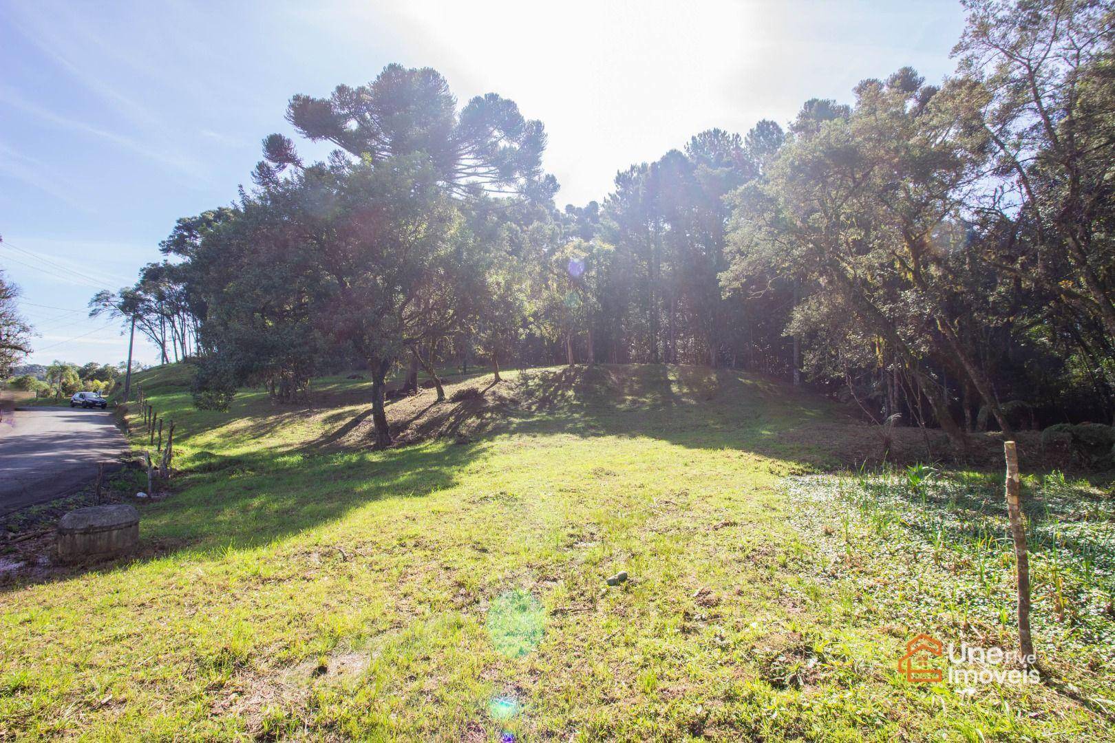 Terreno, 3799 m² - Foto 4