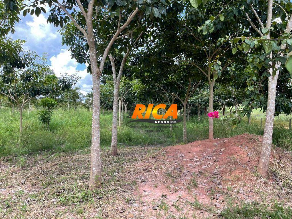 Fazenda à venda, 1110000M2 - Foto 28