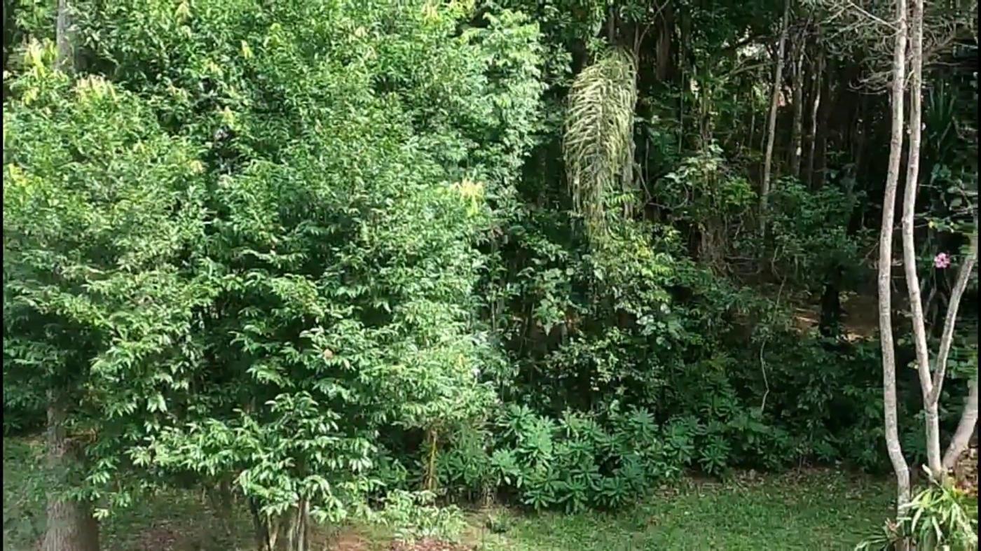 Casa de Condomínio à venda com 3 quartos, 1540m² - Foto 25