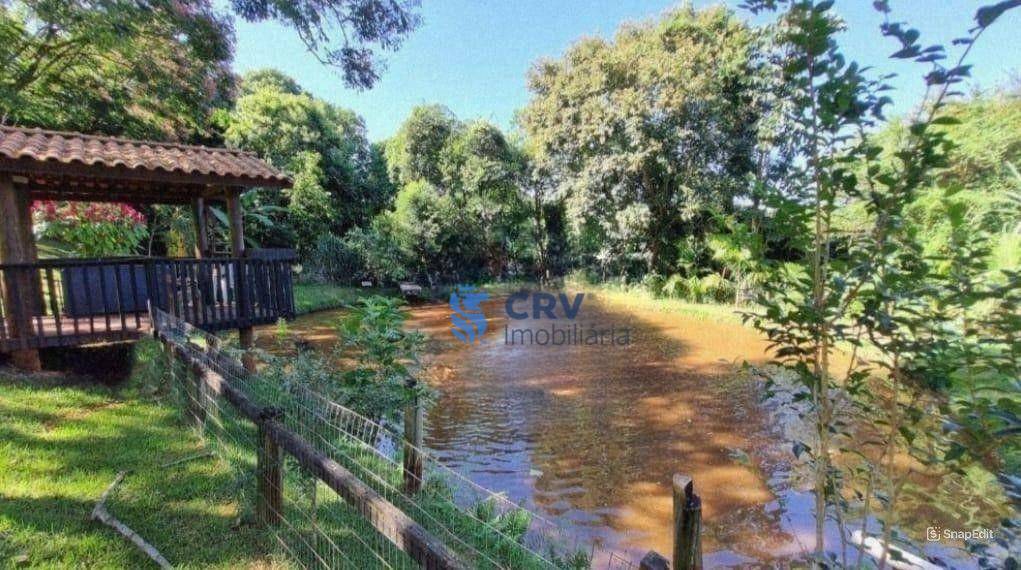 Chácara, 4 quartos, 3 hectares - Foto 1