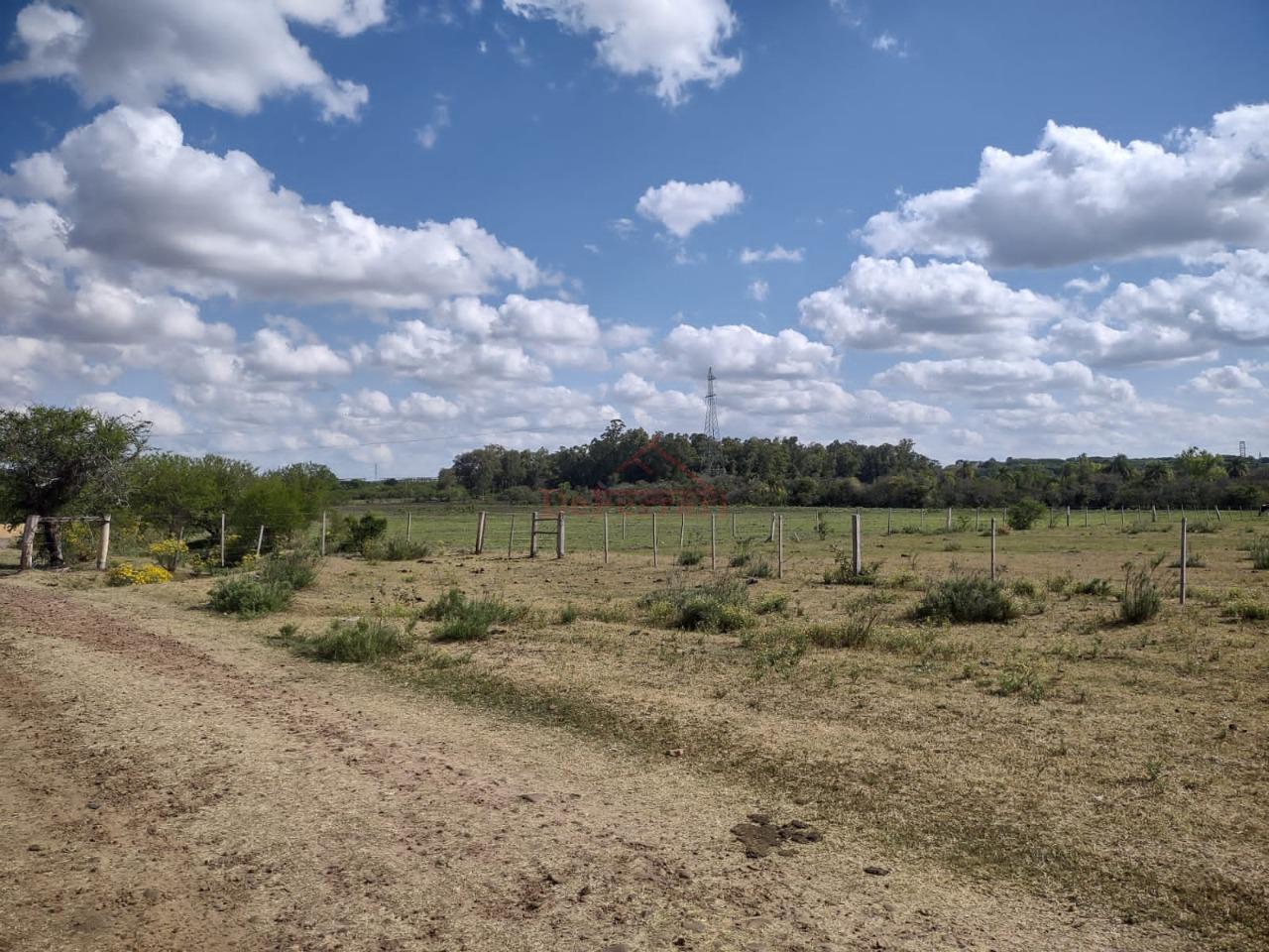 Fazenda-Sítio-Chácara - Foto 17