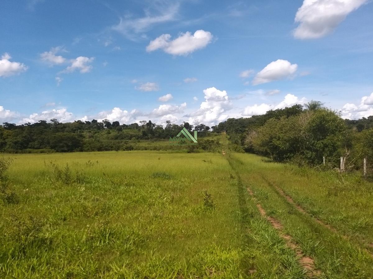 Fazenda à venda com 4 quartos, 430000m² - Foto 19