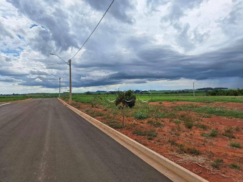 Terreno à venda, 175M2 - Foto 6