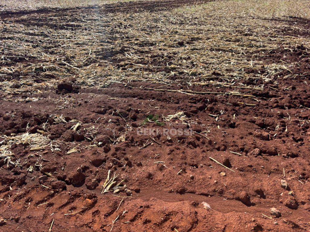 Fazenda, 232 hectares - Foto 14