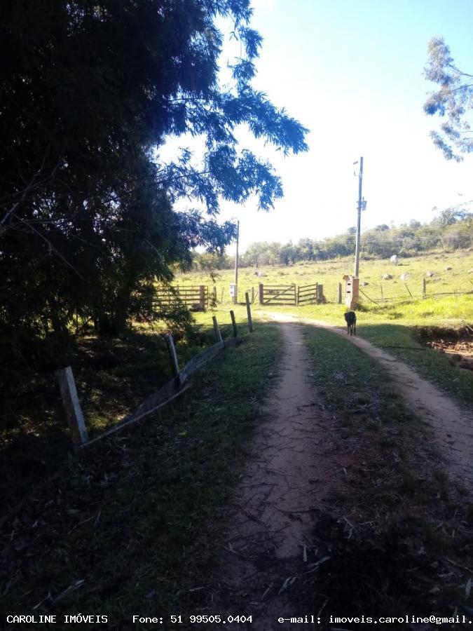 Fazenda à venda com 2 quartos, 180000m² - Foto 17